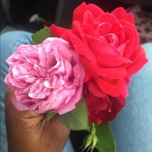 Meet your Posher, Ash